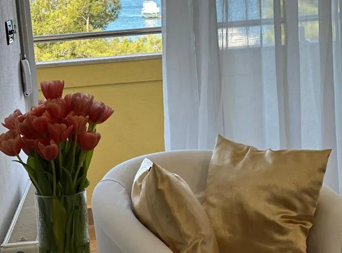 Satis * 特罗吉尔